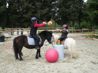 Juegos con ponis duranle un curso infantil 